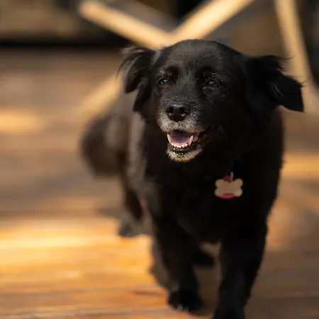 Klimatyzowane Surf - Maszoperia Sun4hel - Letnia Baza Snowshow Na Półwyspie Helskim Albergue