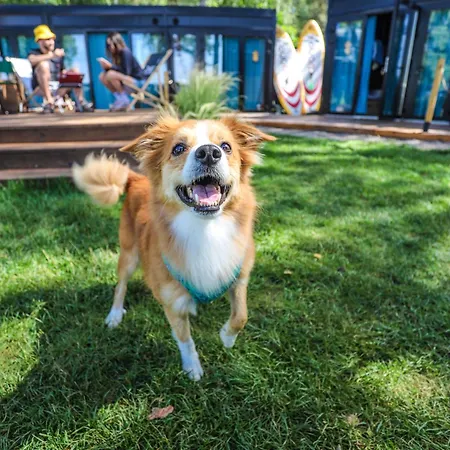 Albergue Klimatyzowane Surf - Maszoperia Sun4hel - Letnia Baza Snowshow Na Półwyspie Helskim Jastarnia