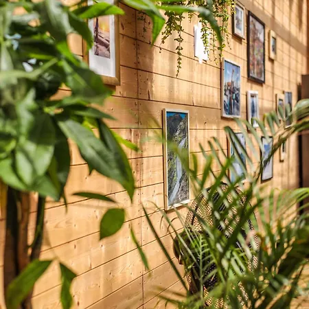 Albergue Klimatyzowane Surf - Maszoperia Sun4hel - Letnia Baza Snowshow Na Półwyspie Helskim *