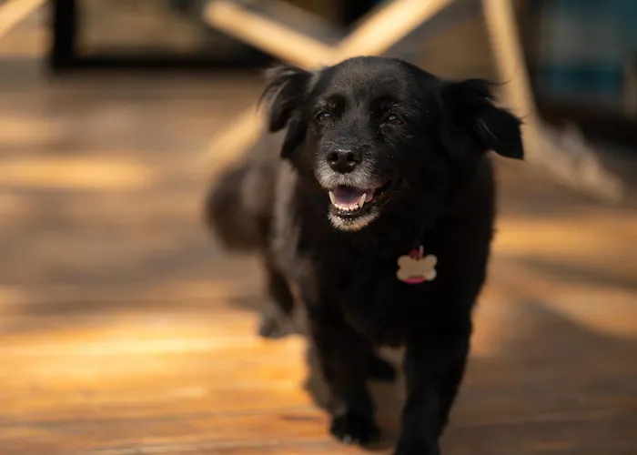 Klimatyzowane Surf - Maszoperia Sun4hel - Letnia Baza Snowshow Na Polwyspie Helskim Hostel