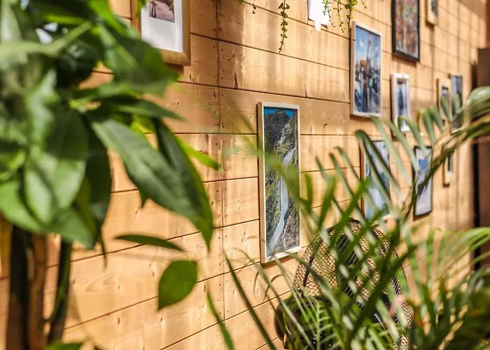 Hostel Klimatyzowane Surf - Maszoperia Sun4hel - Letnia Baza Snowshow Na Polwyspie Helskim *